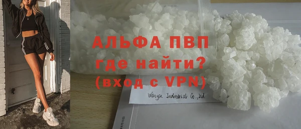 стаф Арсеньев