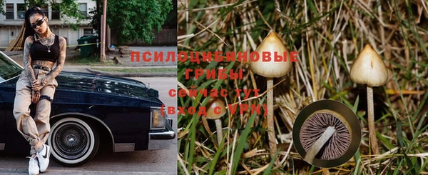 спиды Армянск