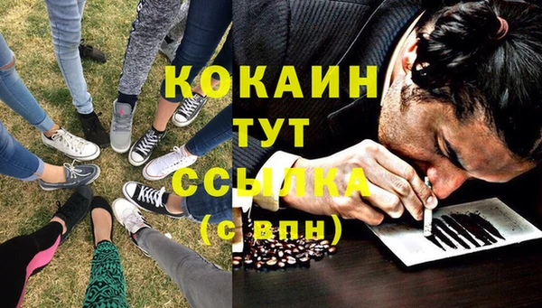 стаф Арсеньев