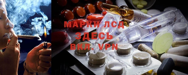 каннабис Аркадак
